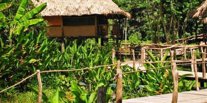 Cotton Tree Lodge San Felipe  Bagian luar foto