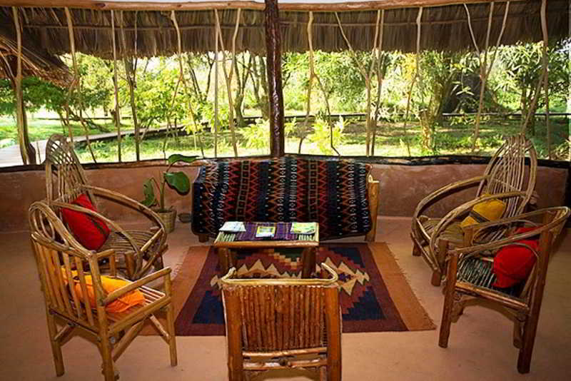Cotton Tree Lodge San Felipe  Bagian luar foto