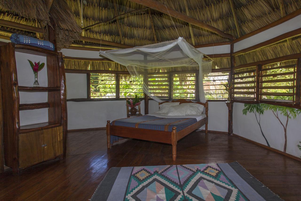 Cotton Tree Lodge San Felipe  Bagian luar foto