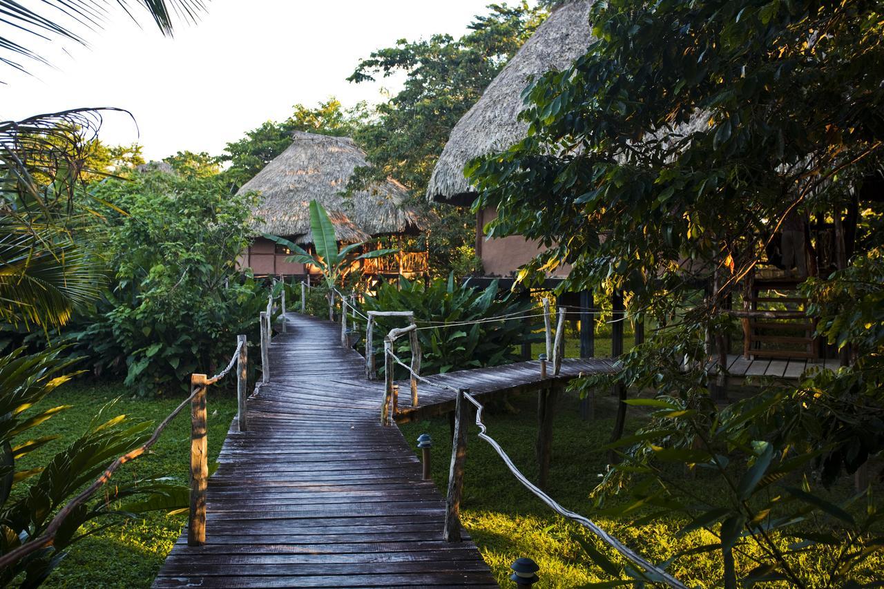 Cotton Tree Lodge San Felipe  Bagian luar foto